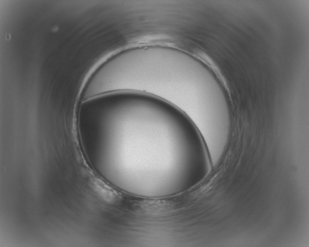 X0000073741336200608031100