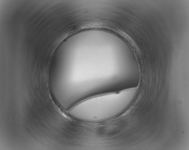 X0000073741337200608031100
