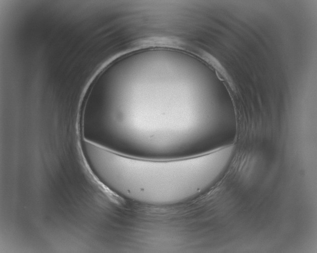 X0000073741339200608031100