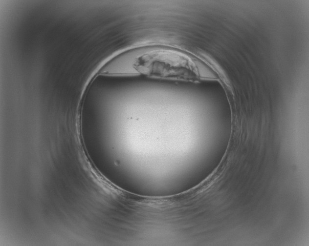 X0000073741340200608031100