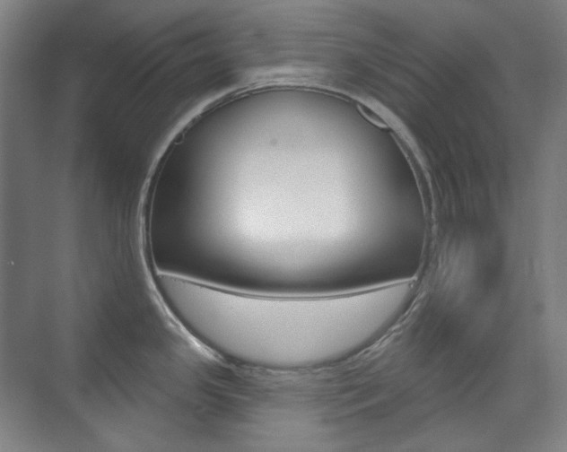 X0000073741341200608031100