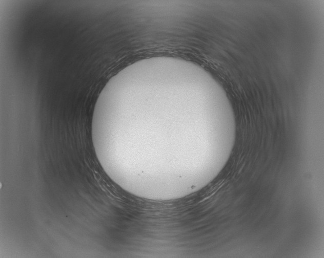 X0000073741346200608031059