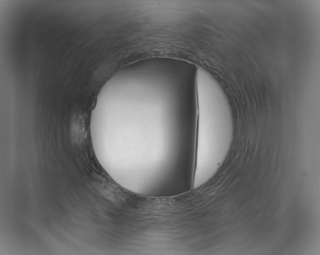 X0000073741347200608031059