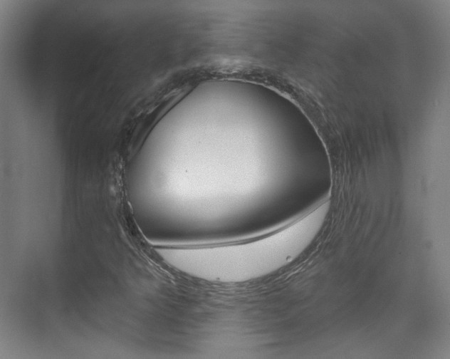 X0000073741349200608031059