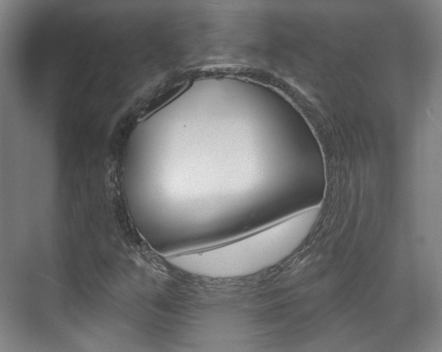 X0000073741351200608031059