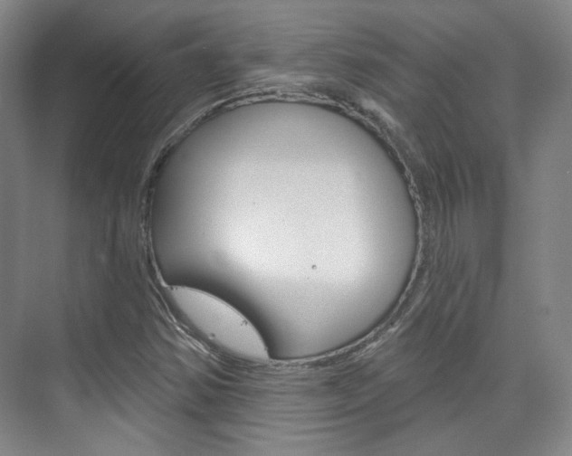 X0000073741354200608031059