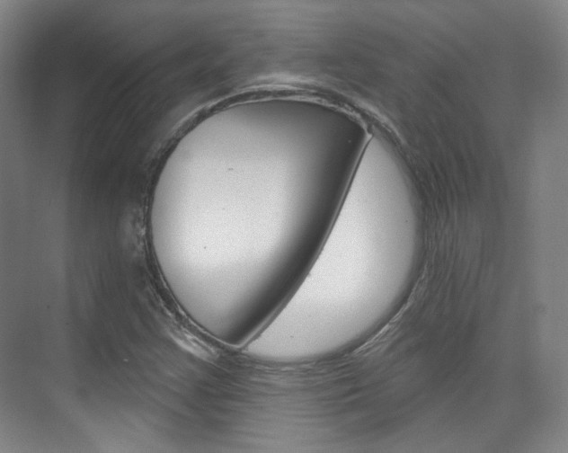 X0000073741355200608031059