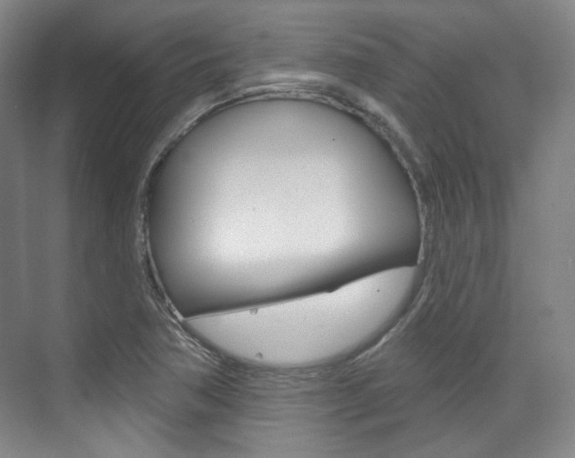 X0000073741362200608031059