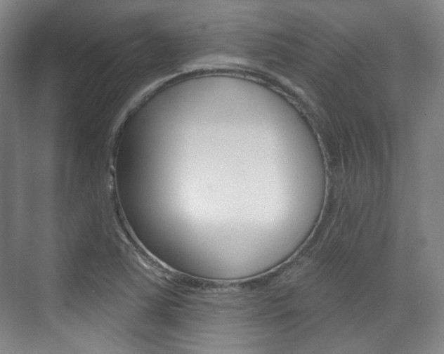X0000073741363200608031059