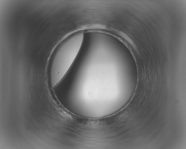 X0000073741364200608031059