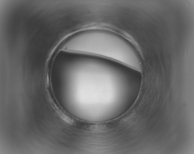 X0000073741368200608031058