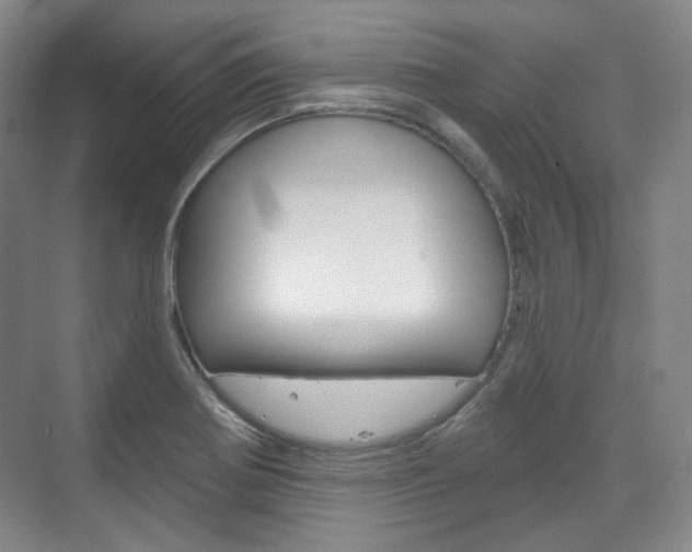 X0000073741370200608031058