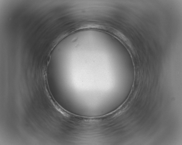 X0000073741377200608031058