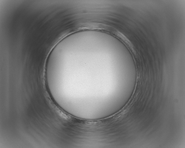 X0000073741378200608031058