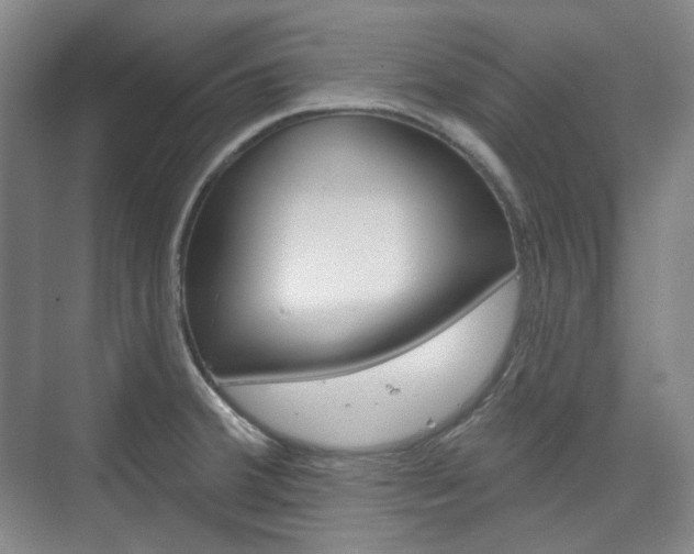 X0000073741380200608031058