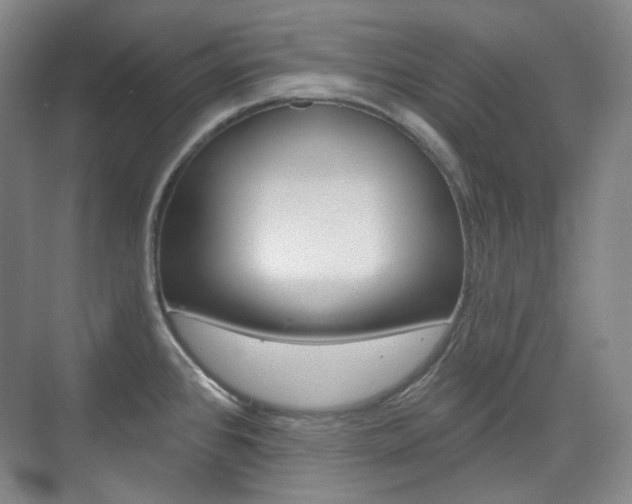 X0000073741384200608031058