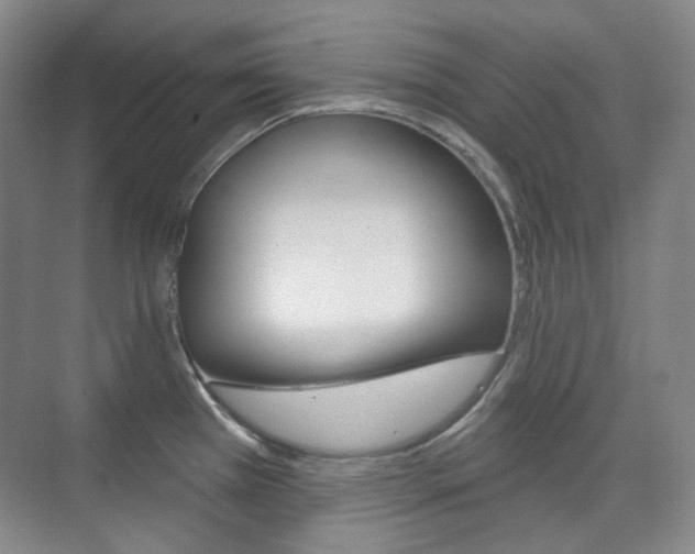 X0000073741385200608031058
