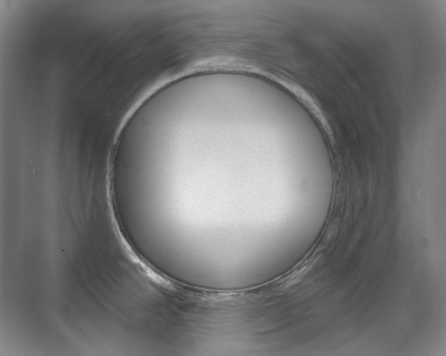 X0000073741390200608031058
