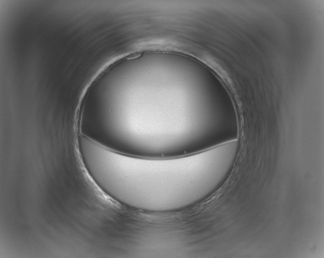 X0000073741392200608031058