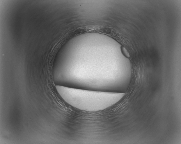 X0000073741393200608031057