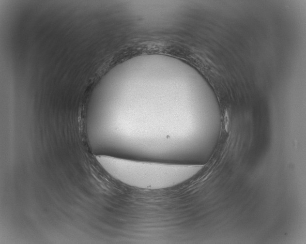 X0000073741395200608031057