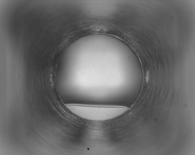 X0000073741396200608031057