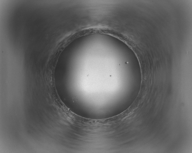 X0000073741398200608031057