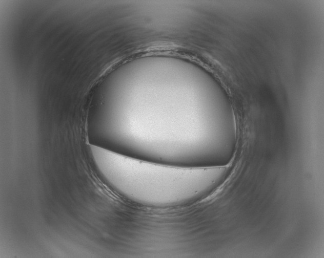 X0000073741401200608031057