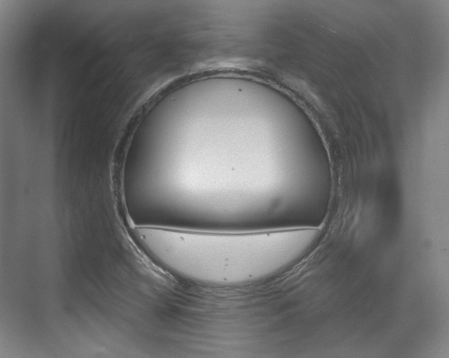 X0000073741404200608031057