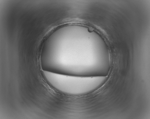 X0000073741407200608031057