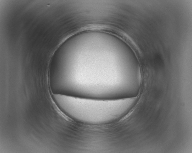 X0000073741417200608031058