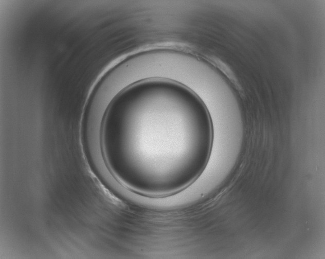 X0000073741420200608031058
