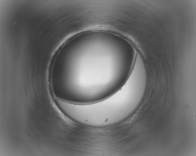X0000073741422200608031058