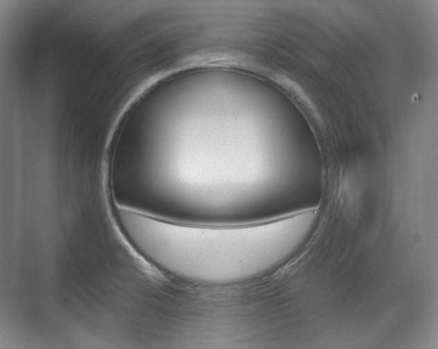 X0000073741424200608031058