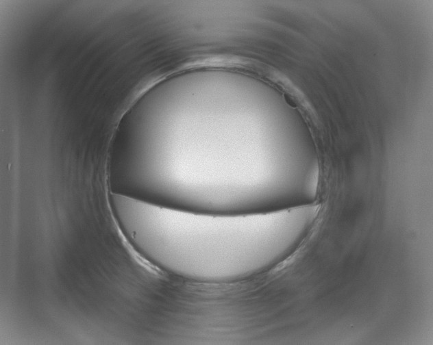 X0000073741425200608031058