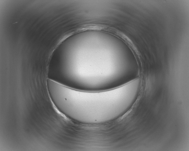 X0000073741433200608031058