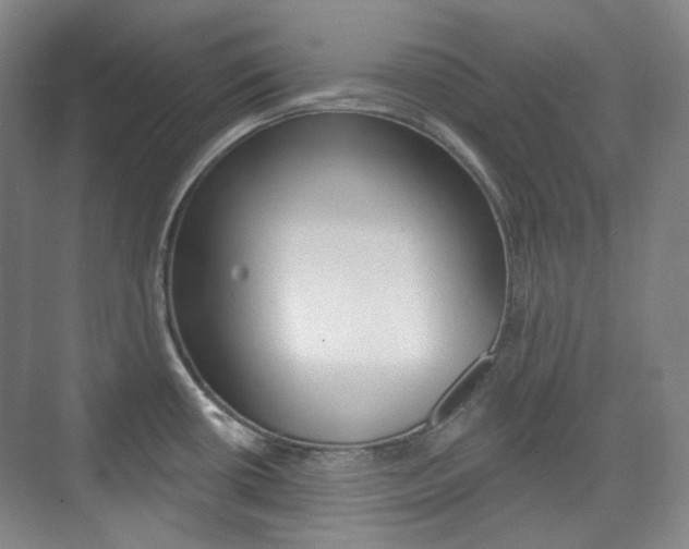 X0000073741434200608031058