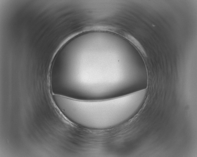 X0000073741436200608031058
