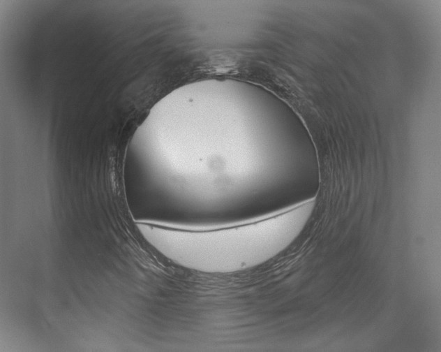 X0000073741442200608031057
