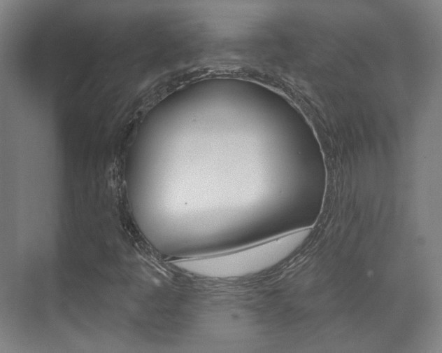 X0000073741445200608031057