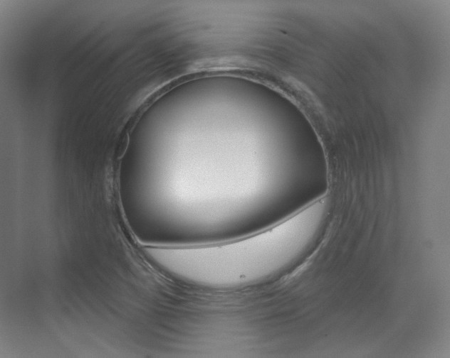 X0000073741457200608031057