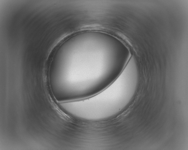 X0000073741458200608031057