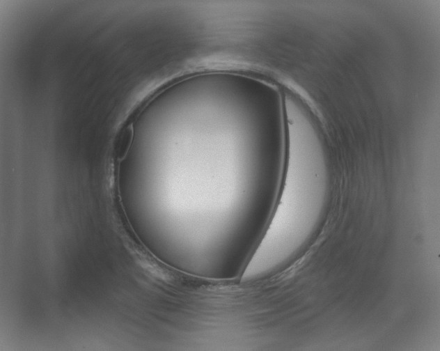 X0000073741461200608031057