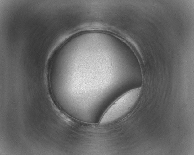 X0000073741464200608031057