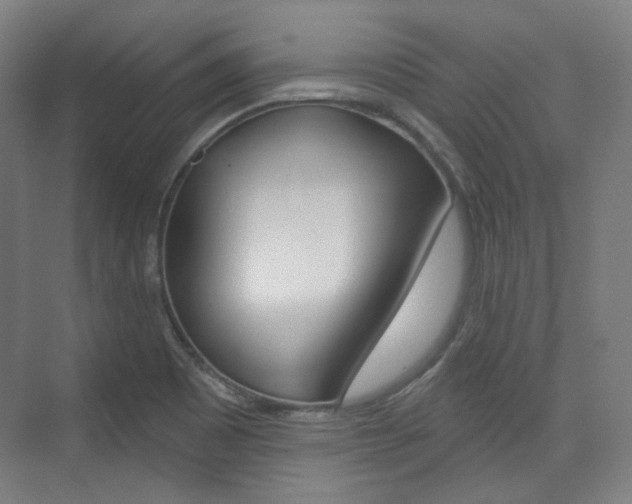 X0000073741465200608031057
