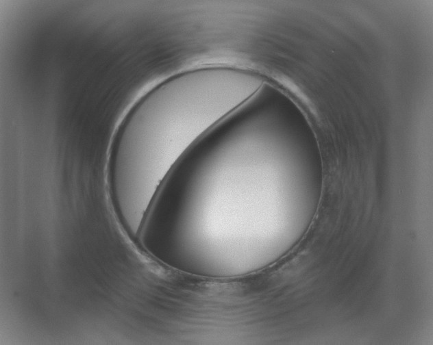 X0000073741469200608031057