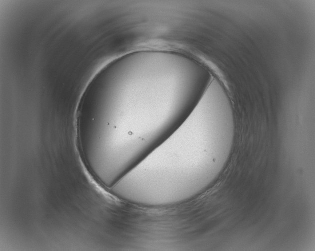 X0000073741479200608031057