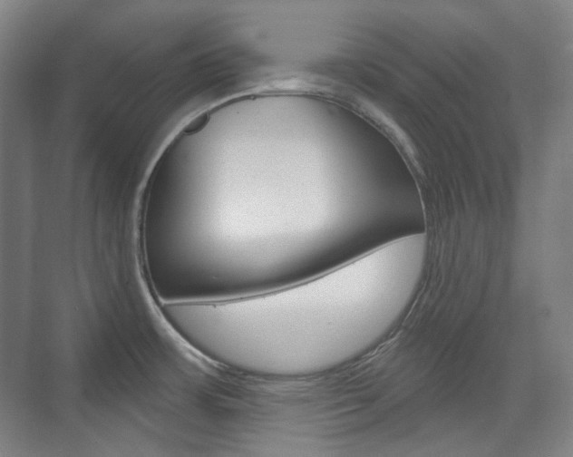 X0000073741483200608031057