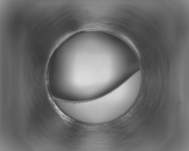 X0000073741485200608031056