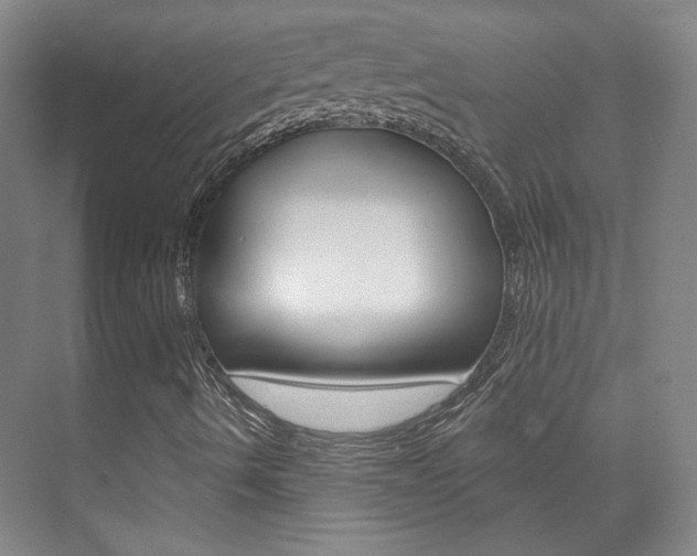 X0000073741490200608031056